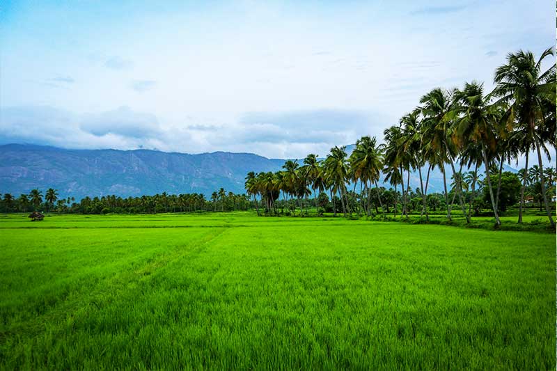 kerala