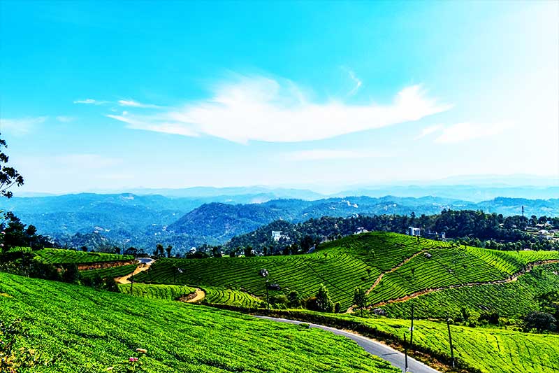 munnar