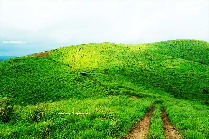 vagamon